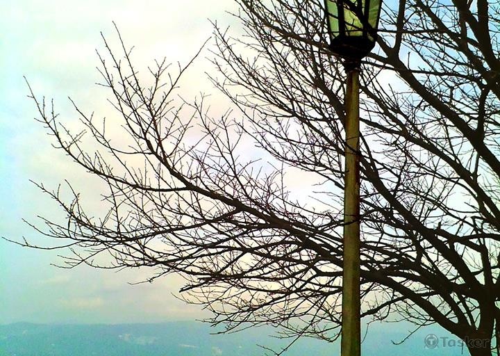 眺望 (大尖山頂)