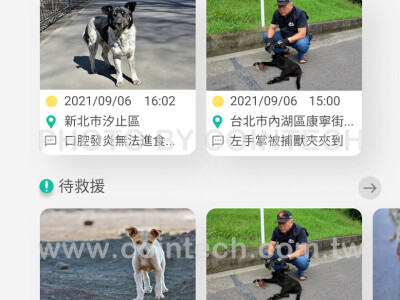 動物救援APP