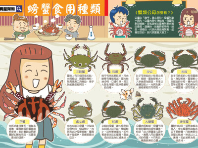 動物食用部位插畫