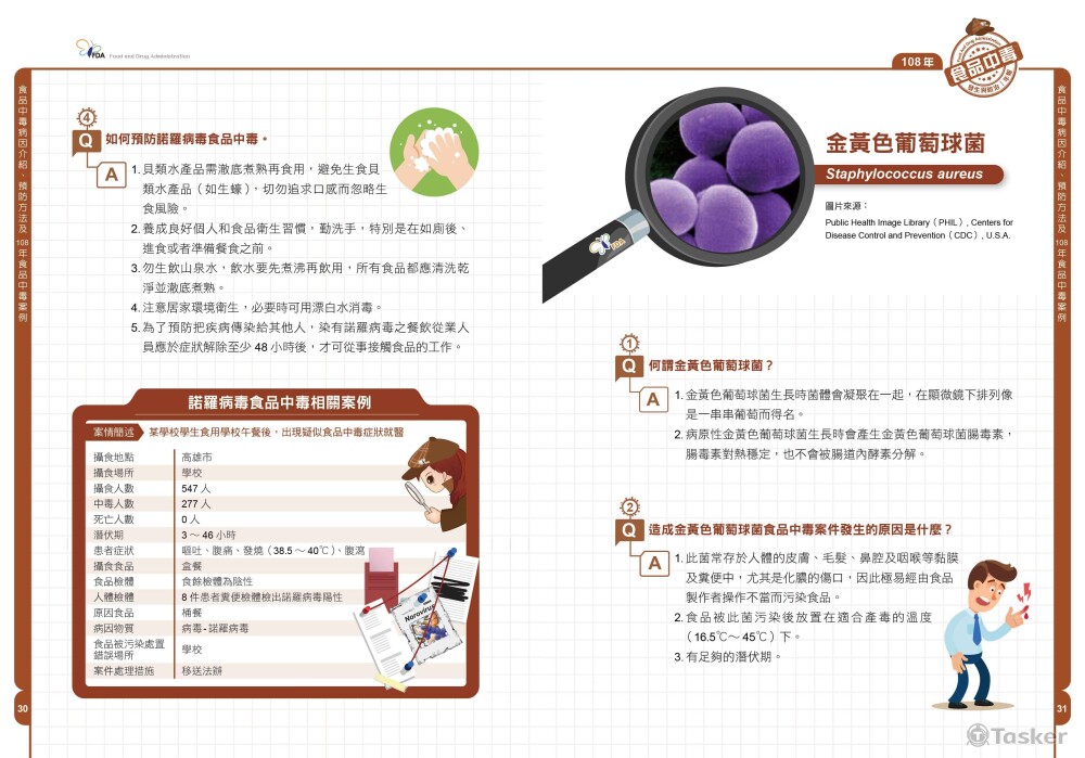食品中毒年報-內頁編排設計