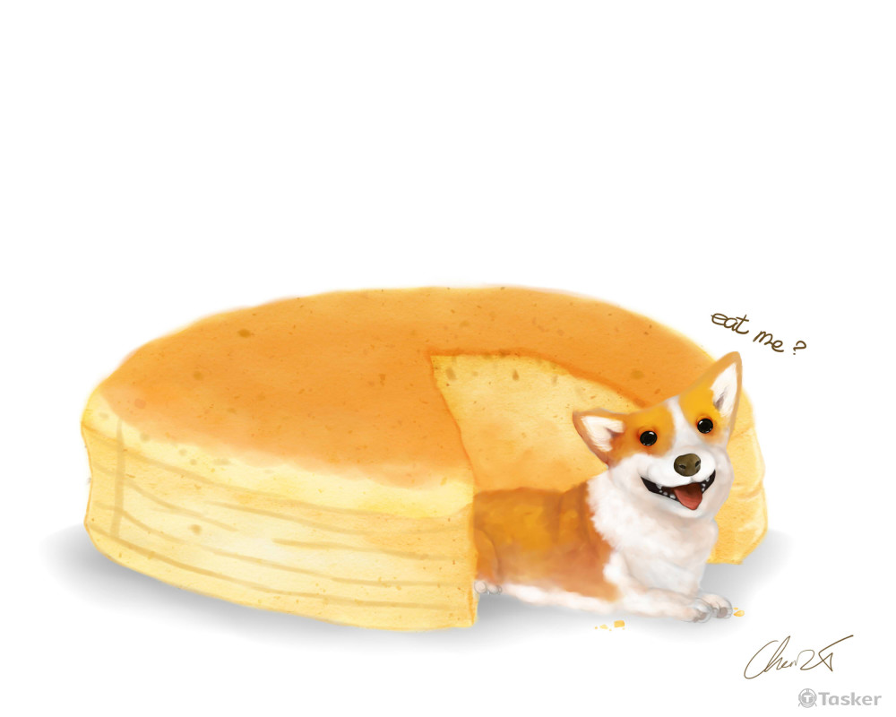 起士蛋糕與柯基