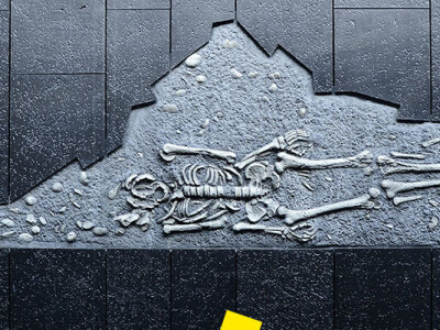 法人政府單位網站