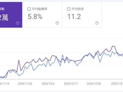 SEO流量成效