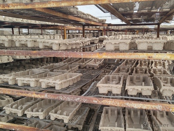 Molded Paper Pulp 01