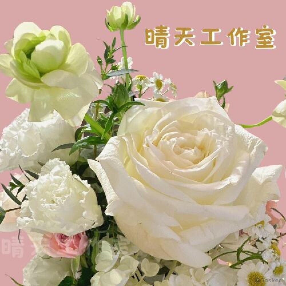 商品拍攝、去背、簡易美編、浮水印製作