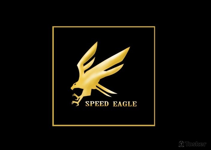 俯衝捕食的遊隼 speed eagle(競標作品)