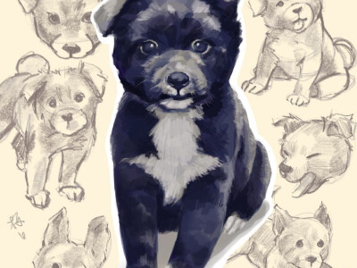 人物、動物插畫