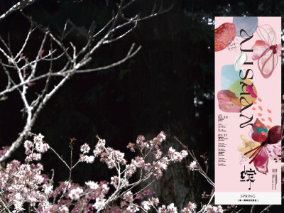 2023 阿里山春季開幕 視覺設計