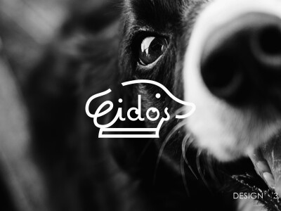 寵物選品logo設計及命名