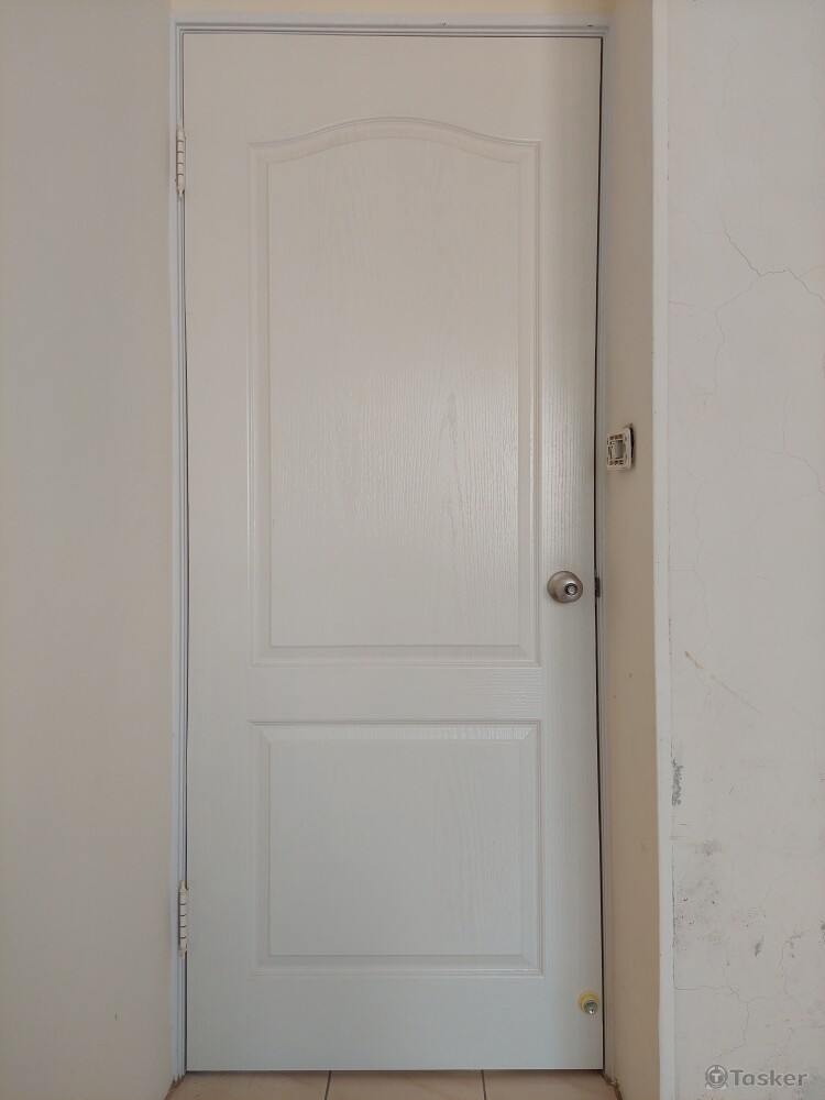 牙白色二肚木纖門