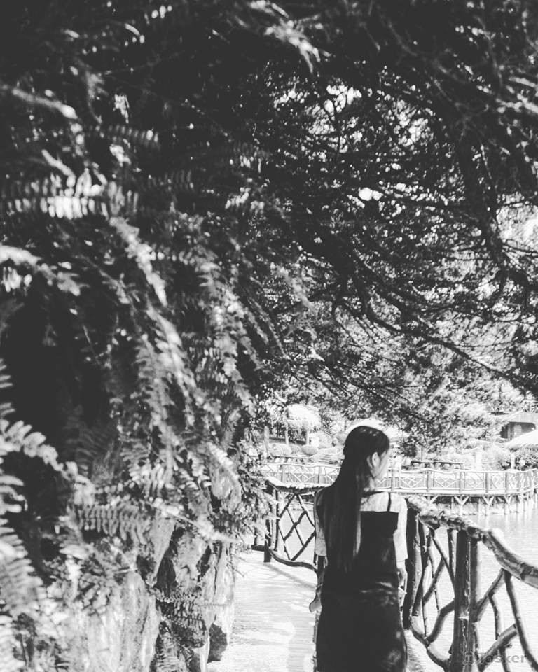 攝影使用初階數位單眼