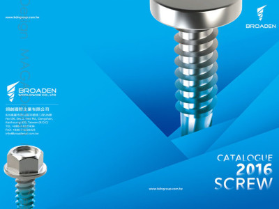 BDN公司形象系列