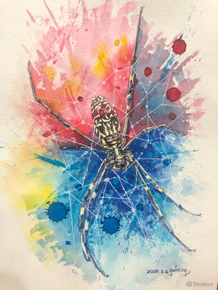 水彩-七彩蛛