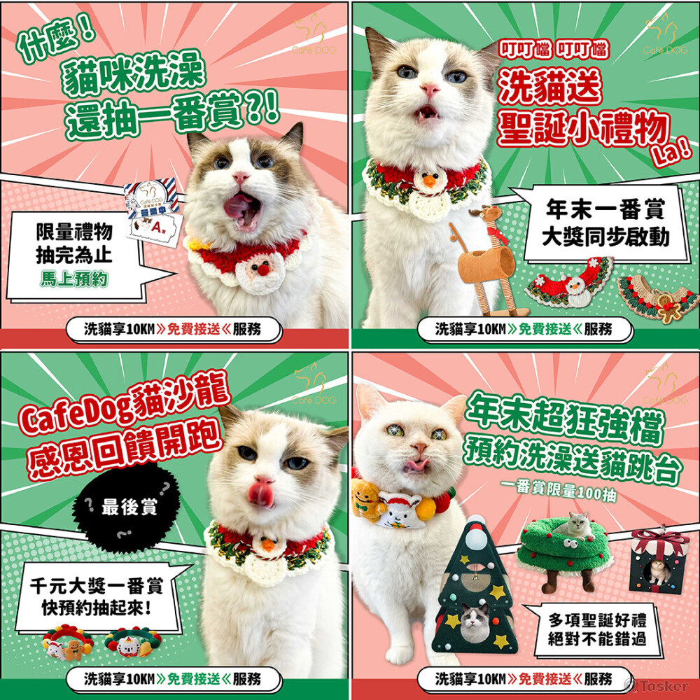 cafe dog寵物沙龍社群圖設計