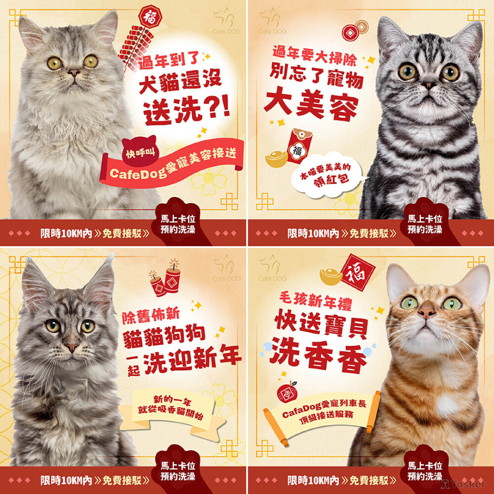 cafe dog寵物沙龍社群圖設計