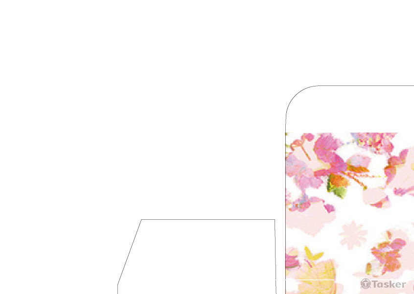 莉媞亞-纖 產品包裝設計