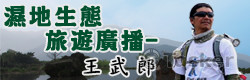 綠色和平活動banner