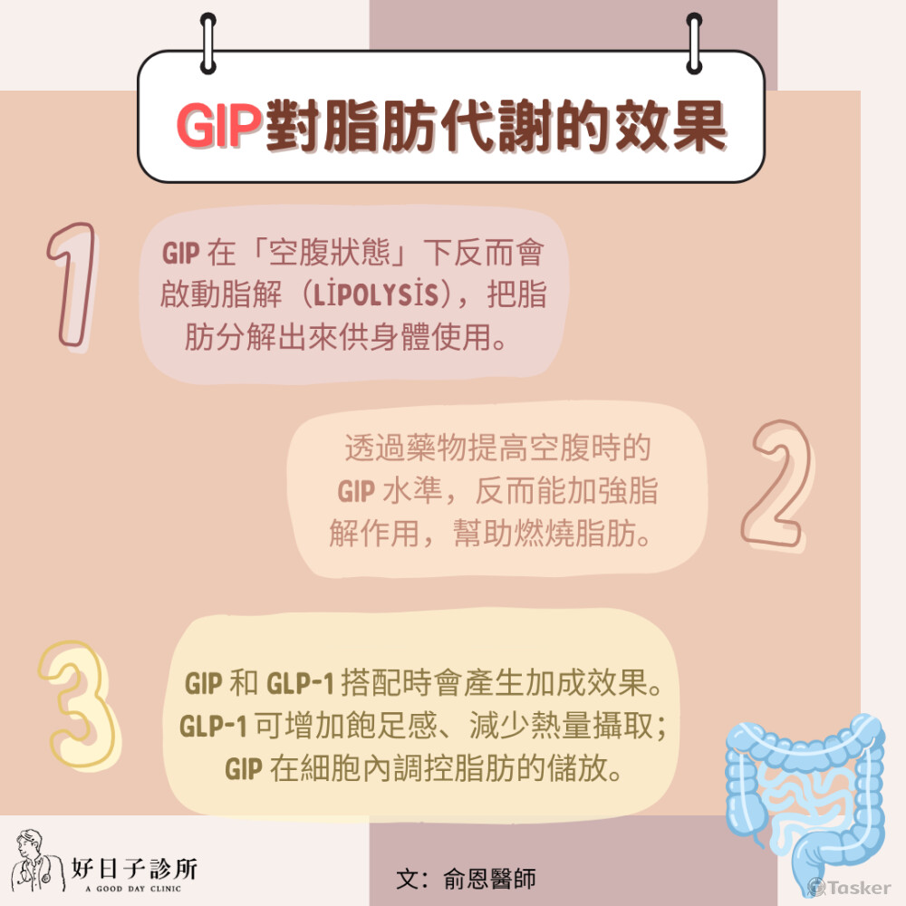 GIP衛教圖文
