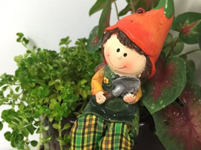 公司綠化植栽設計