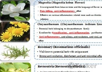 中/英文簡報製作