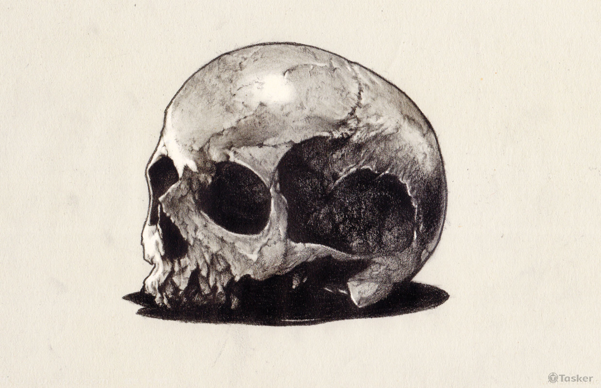 Skull