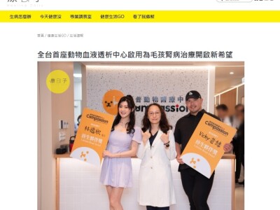 新聞稿發佈案例