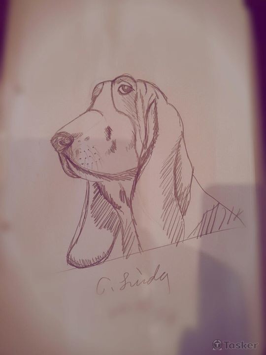 動物 巴吉度(手繪)