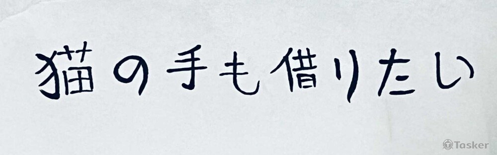 借貓的手
