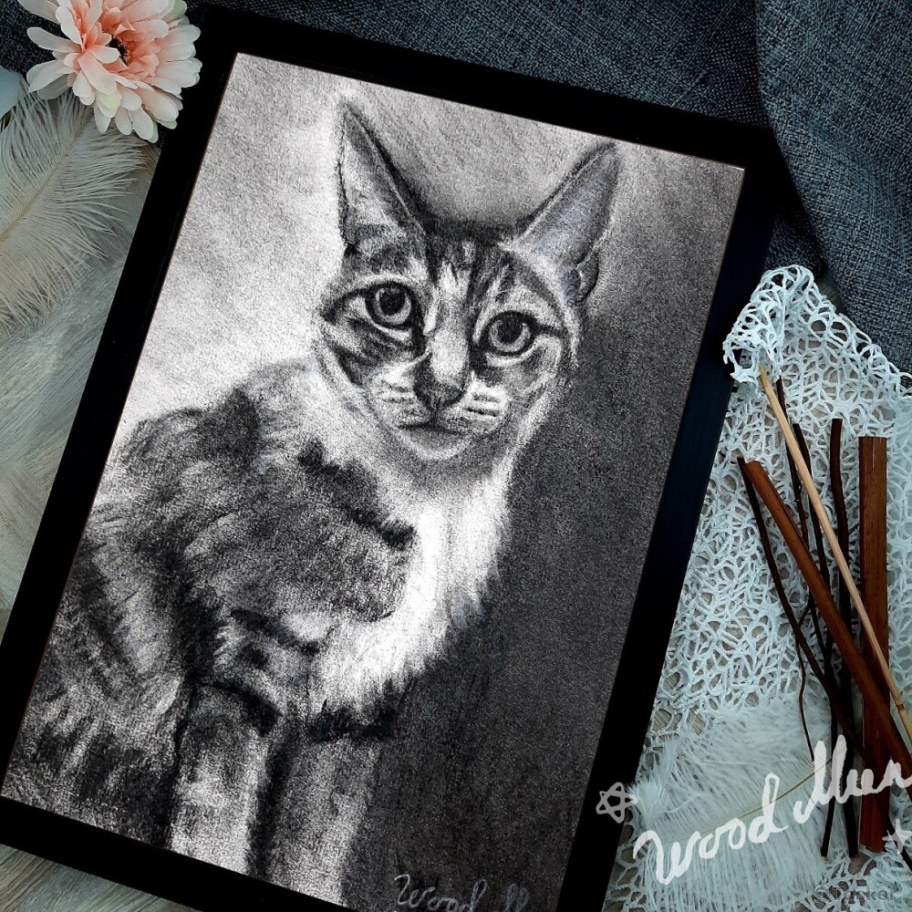 炭精筆素描，16開