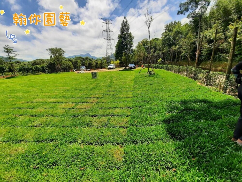 手推式割草機，平地之使用。