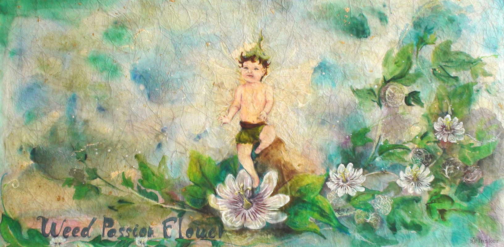 花精靈系列插圖