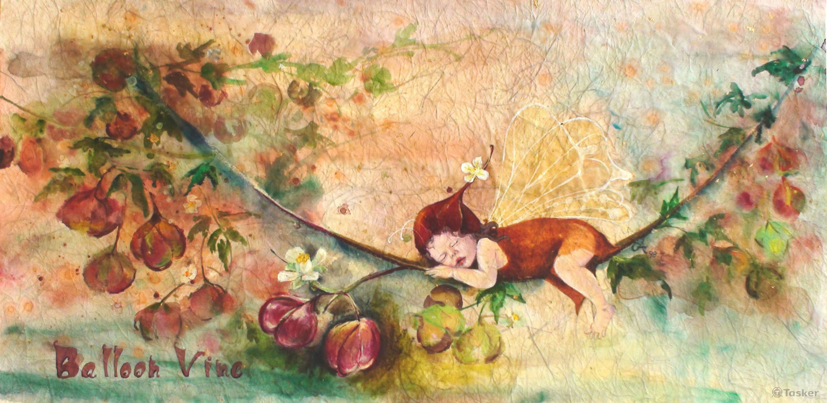 花精靈系列插圖