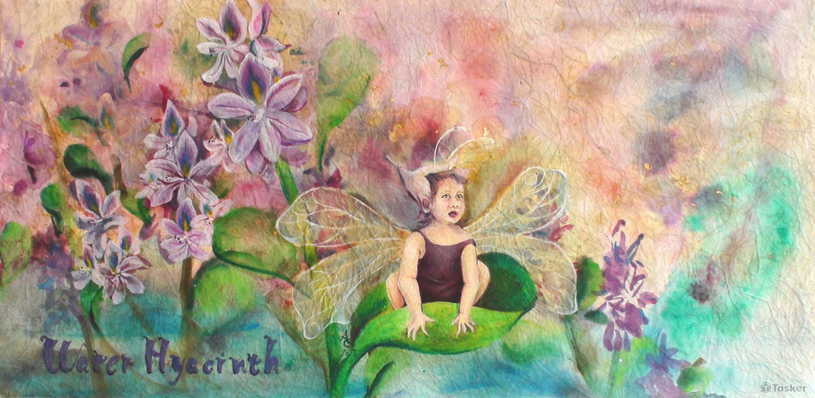 花精靈系列插圖