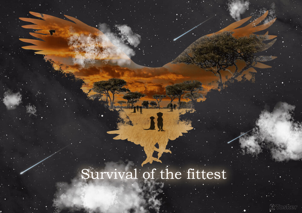 狐蒙在大草原上的天敵是老鷹，呈現出適者生存的食物鏈。