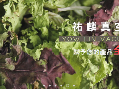 wix網站架設 / 美編 /內容優化