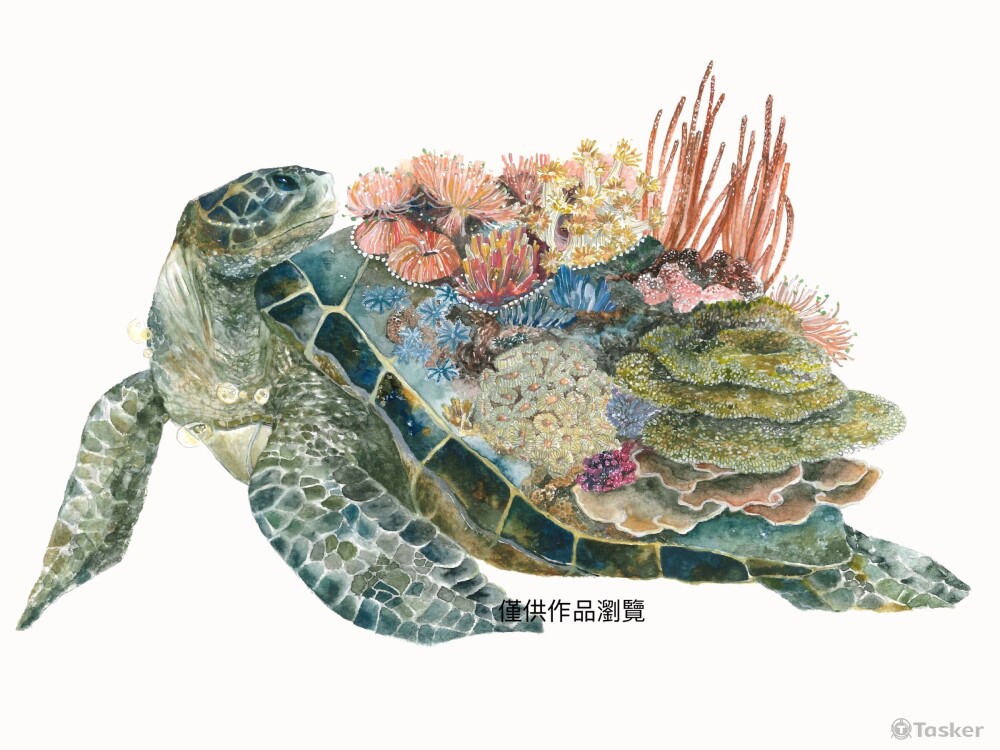 Heart Keeper海龜守護者