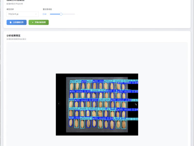 AI花生種子黴變檢測 圖片 影像 即時 辦識系統