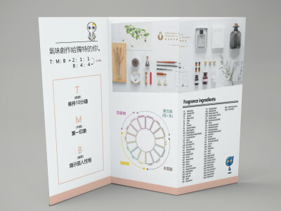 DM/海報/卡片設計