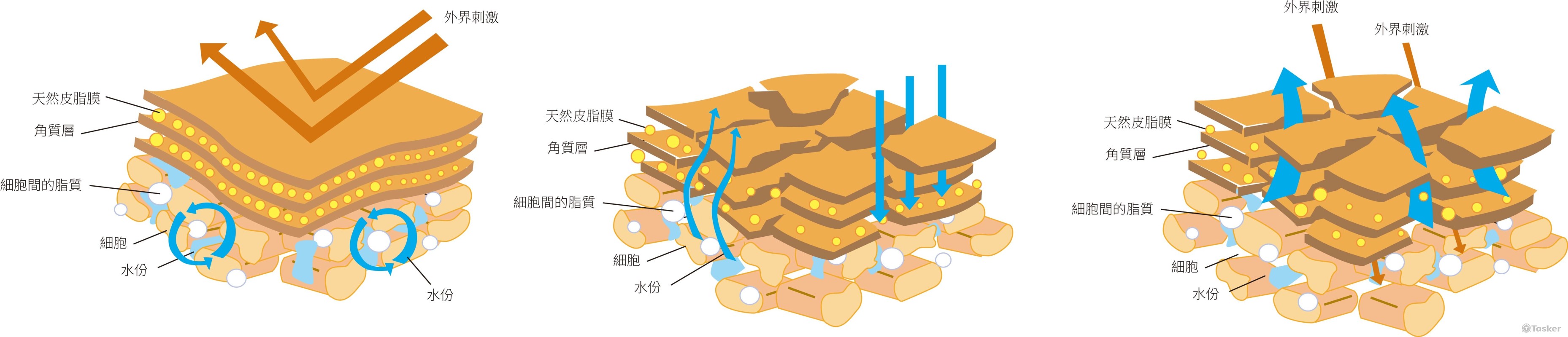 案主是研發皮膚清潔保養用品，這是我為他們做的宣傳文宣