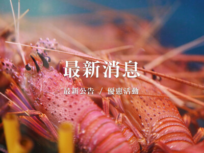 網站設計｜海鮮餐廳｜WACA