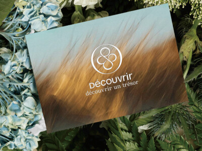 DECOUVRIR LOGO設計