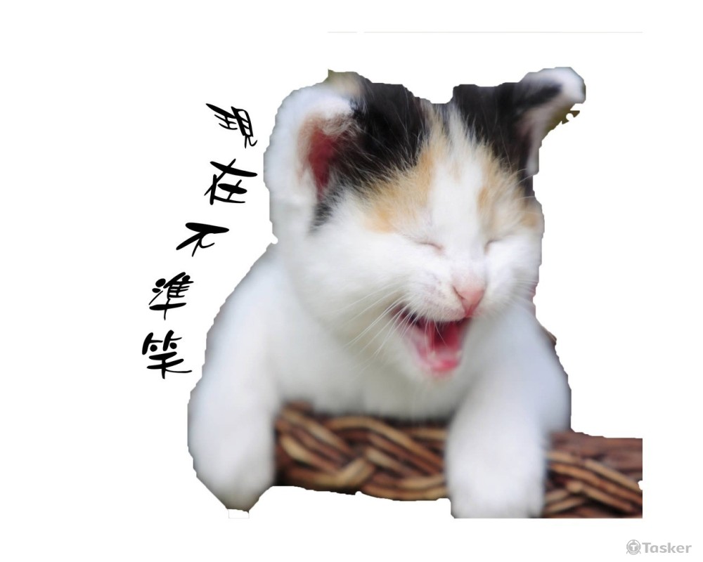 現在不準笑(競標作品)