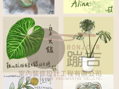 蹦吉_電繪設計圖