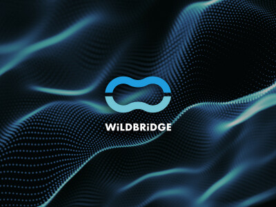 WILDBRIDGE-CI