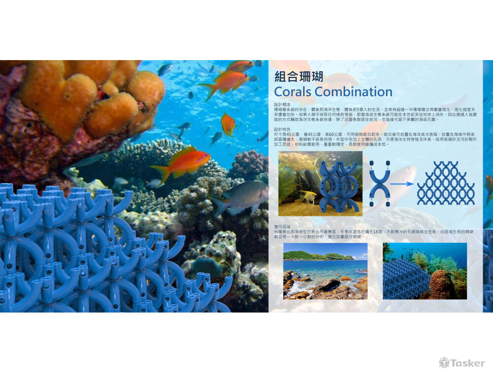 組合珊瑚 Corals Combination