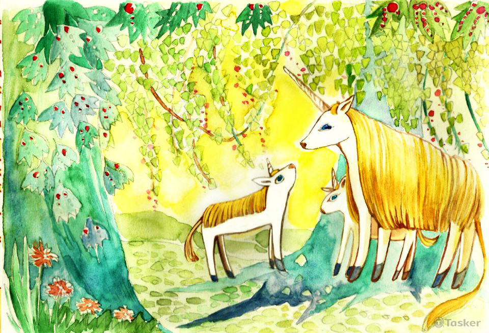 森林裡的獨角獸