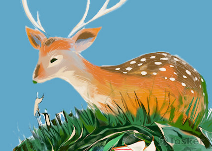 台灣美麗的梅花鹿