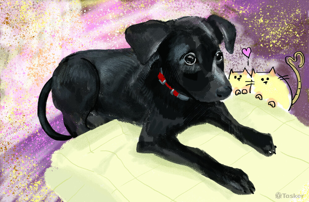 毛孩繪圖，最後成品為桌曆。