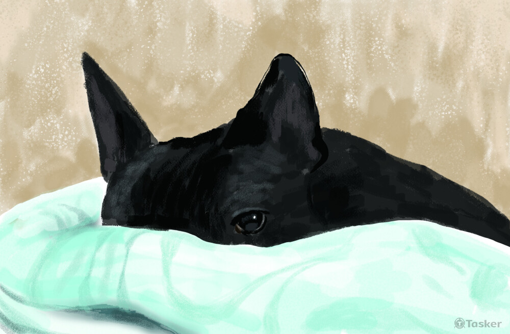 毛孩繪圖，最後成品為桌曆。