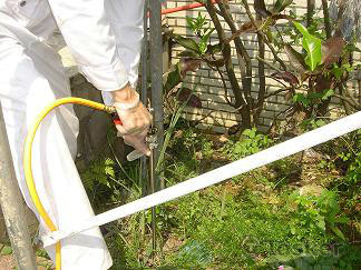 白蟻防治